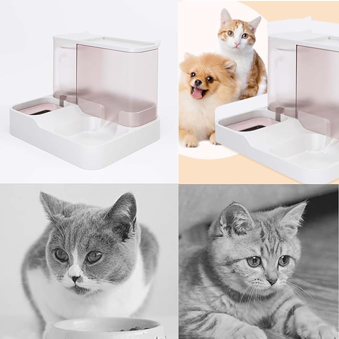 Large Capacity 2-in-1 Cat Feeder & Water Dispenser - Automatic Pet Feeding Solution