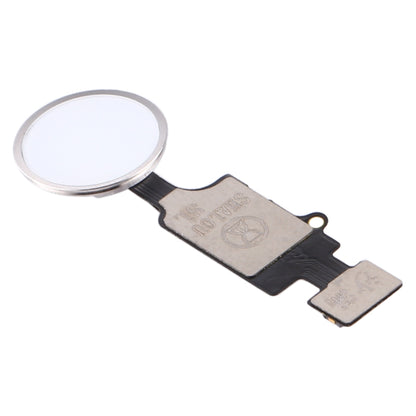 White Home Button with Flex Cable for iPhone 8 Plus, 7 Plus, 8 & 7 - Replacement Part (No Touch ID)