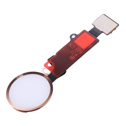 iPhone 8 Plus Home Button Flex Cable (Gold) - Not Compatible with Touch ID, Professional Installation Recommended