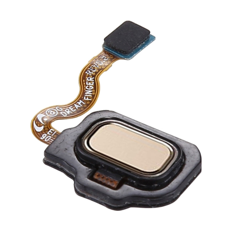 Gold Fingerprint Button Flex Cable for Samsung Galaxy S8 / S8+ - Compatible Replacement Part