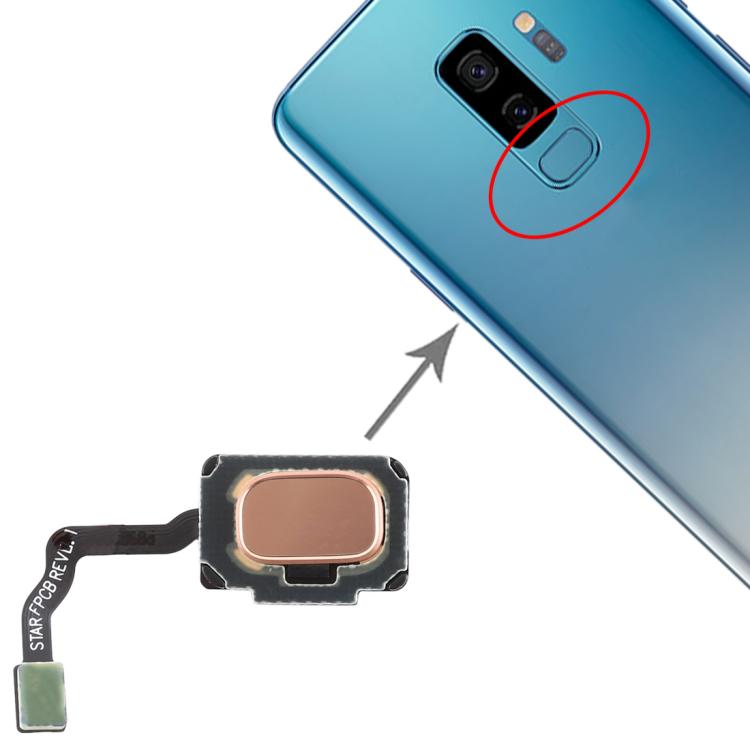 Gold Fingerprint Sensor Flex Cable for Samsung Galaxy S9 / S9+ - Compatible Replacement Part