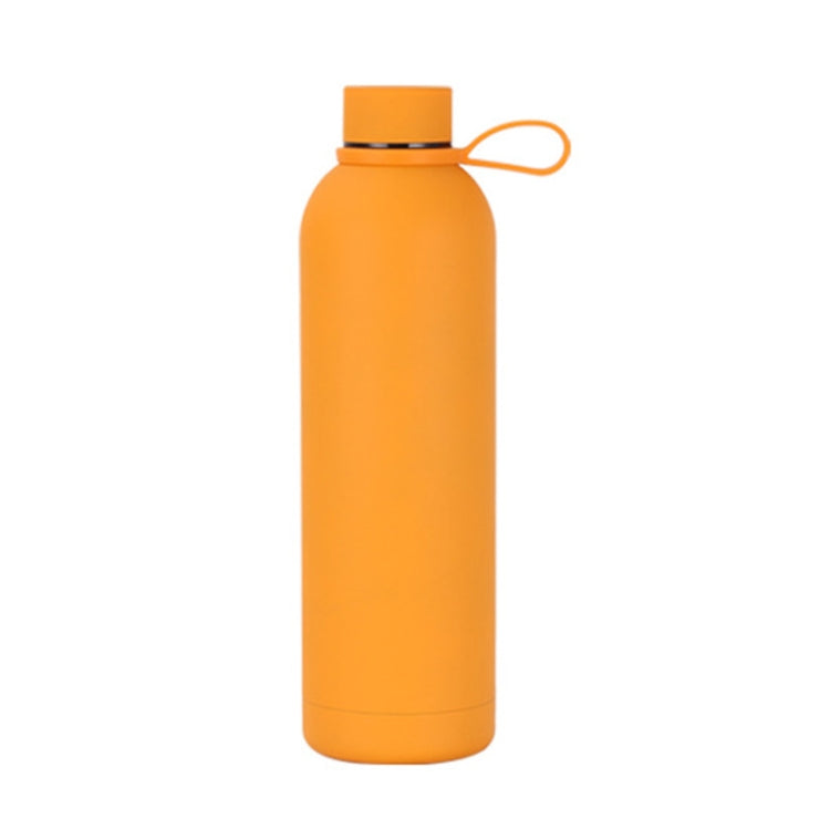 Stainless Steel Insulated Water Bottle – Candy Colored, Leak-Proof, Eco-Friendly