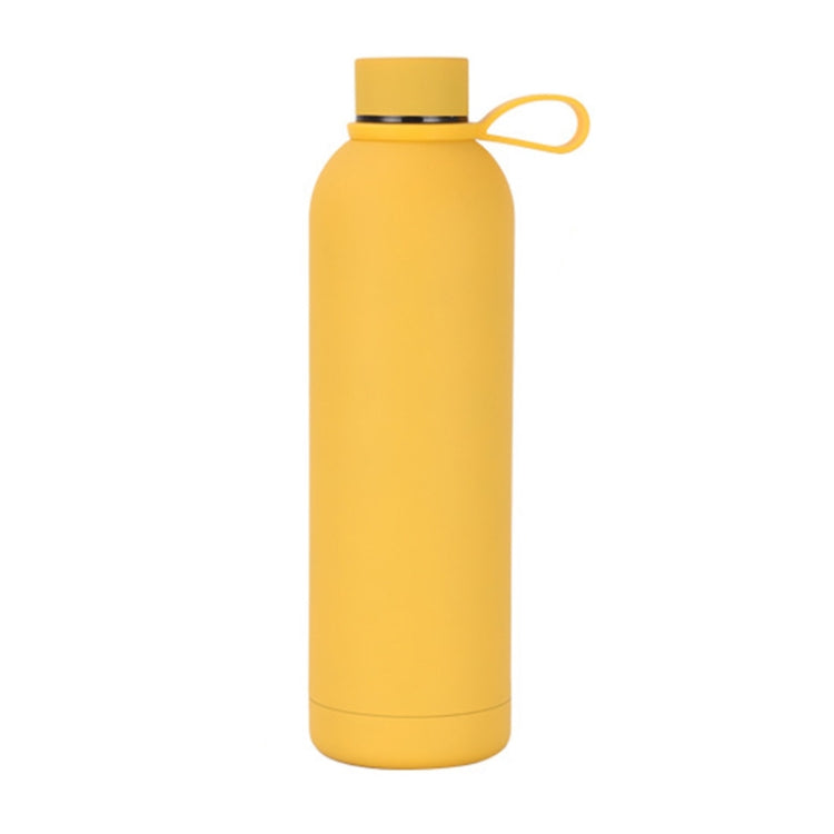 Stainless Steel Insulated Water Bottle – Candy Colored, Leak-Proof, Eco-Friendly