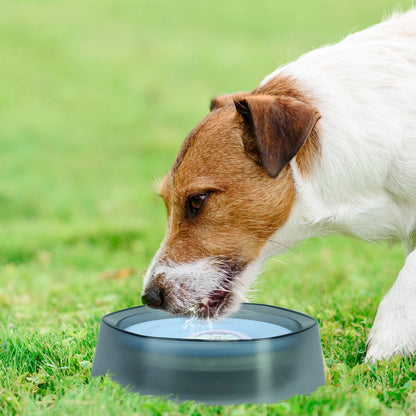 Pet Water Bowl with Floating Disk - Splash-Proof & Dust-Free - for Cats and Small Dogs