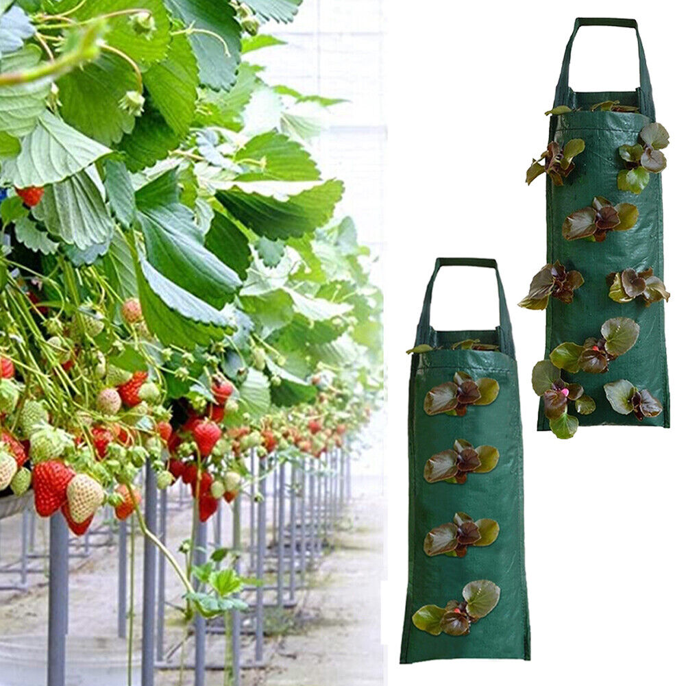 Durable Multi-Pocket PE Grow Bags for different Vegetables and Plants